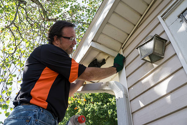 Shed Removal in Golden Shores, AZ